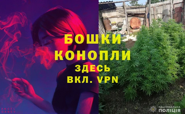 дмт Богородицк
