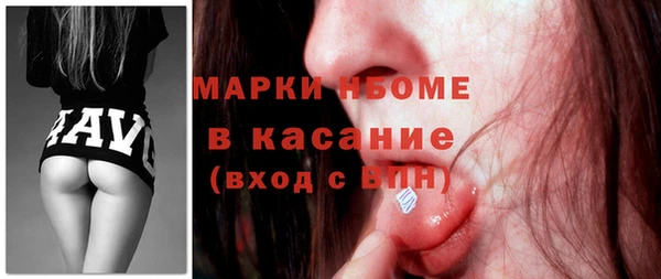 дмт Богородицк