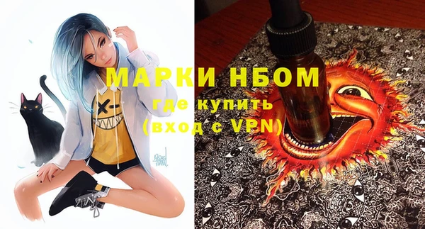 твердый Белокуриха