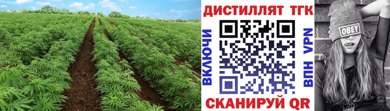 ТГК вейп  Канск 