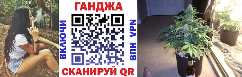 Бошки марихуана планчик  как найти закладки  Канск 